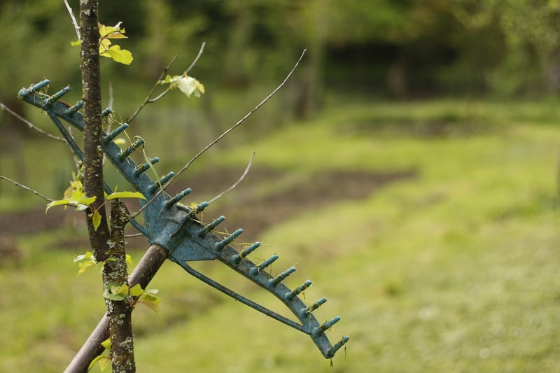 Garden Tools